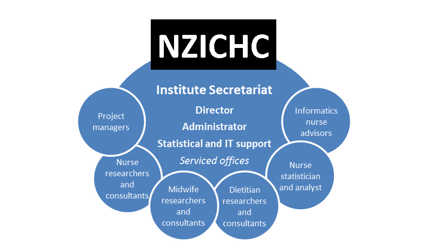 NZICHC Infrastructure diagram 2013